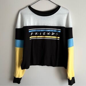 Authentic Friends Color Block Lightweight Long Sleeve Cropped Sweater